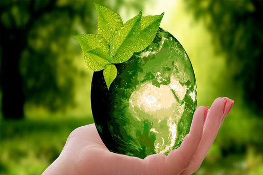 Lee más sobre el artículo Celebración del Día Mundial del Medio Ambiente
