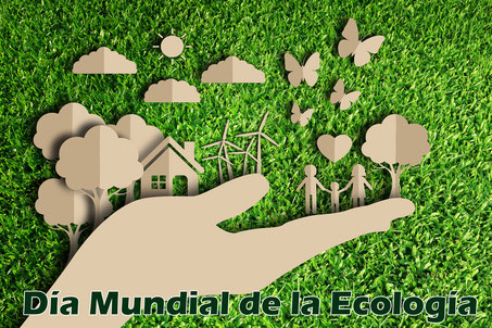 Lee más sobre el artículo Día Mundial de la Ecología y de los Ecólogos