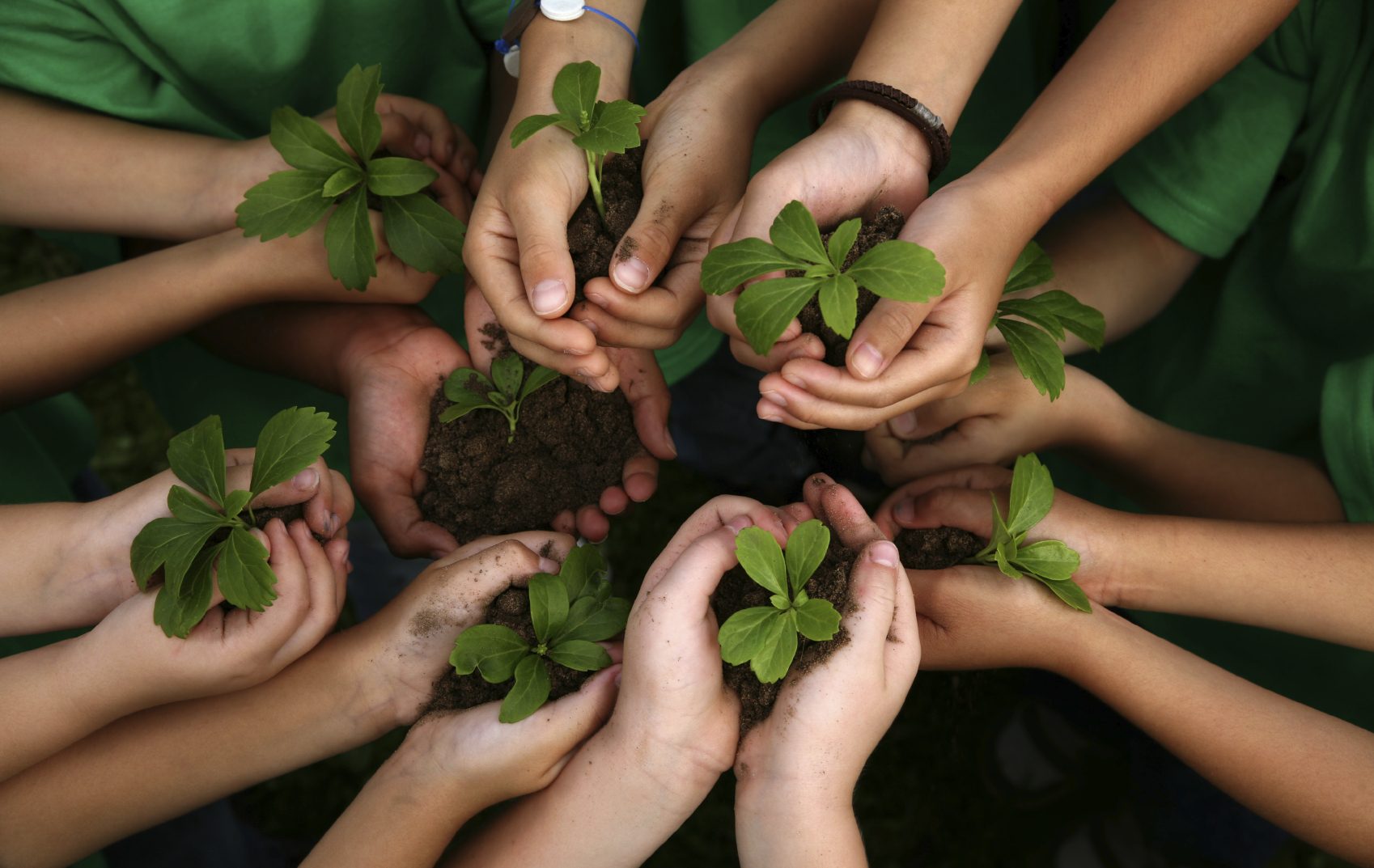 Lee más sobre el artículo Día Mundial de la Educación Ambiental