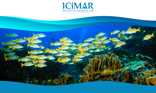 Lee más sobre el artículo Contribuyen investigaciones de ICIMAR al mejoramiento de ecosistemas.