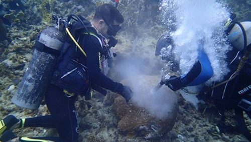 Read more about the article Cuban marine researchers present in national and international organizations