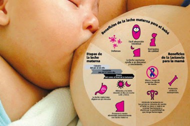 Lee más sobre el artículo Semana Mundial de la Lactancia Materna 2021. “Proteger la lactancia materna: una responsabilidad compartida”