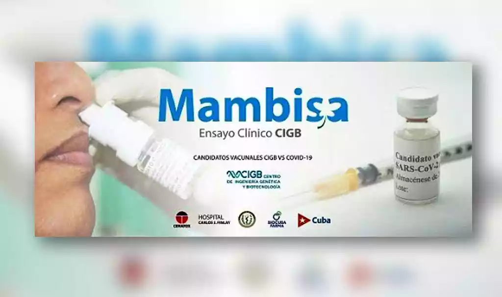 Lee más sobre el artículo Avanzan ensayos clínicos de candidato vacunal Mambisa