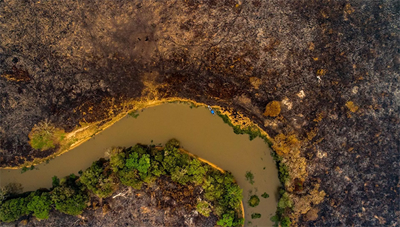 Lee más sobre el artículo Continúa deforestación en la Amazonia brasileña, con cifra récord en primer semestre de 2022