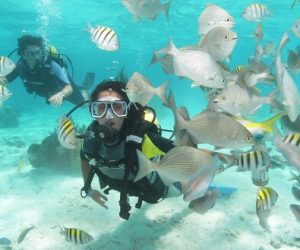 Lee más sobre el artículo Cuba: Tercer mejor destino para practicar snorkel en el mundo