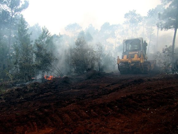 Read more about the article <strong>Rangers and the FAR face a large fire in Mayarí</strong>