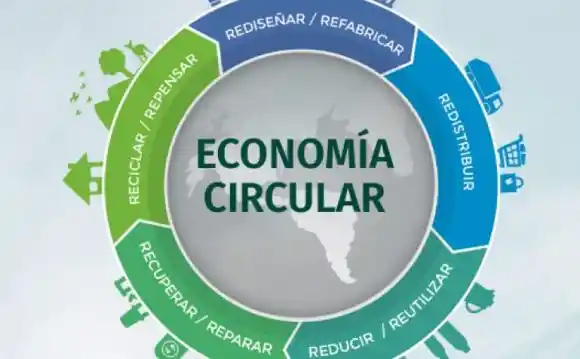 Lee más sobre el artículo Economía circular, modelo vital para el progreso
